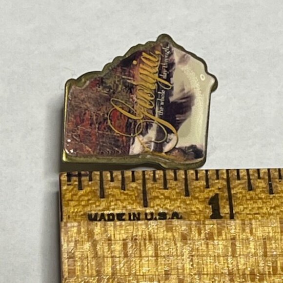 VTG Georgia The Whole Day Through 1996 Limited Edition Glossy Lapel Hat Pin - Picture 8 of 9